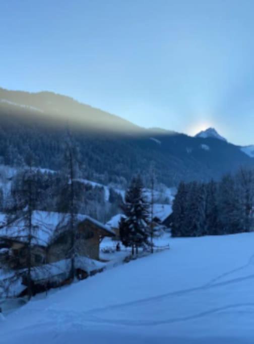 Appartement Cosy Proche Chatel Portes Du Soleil - Linge Inclus Abondance Exterior foto