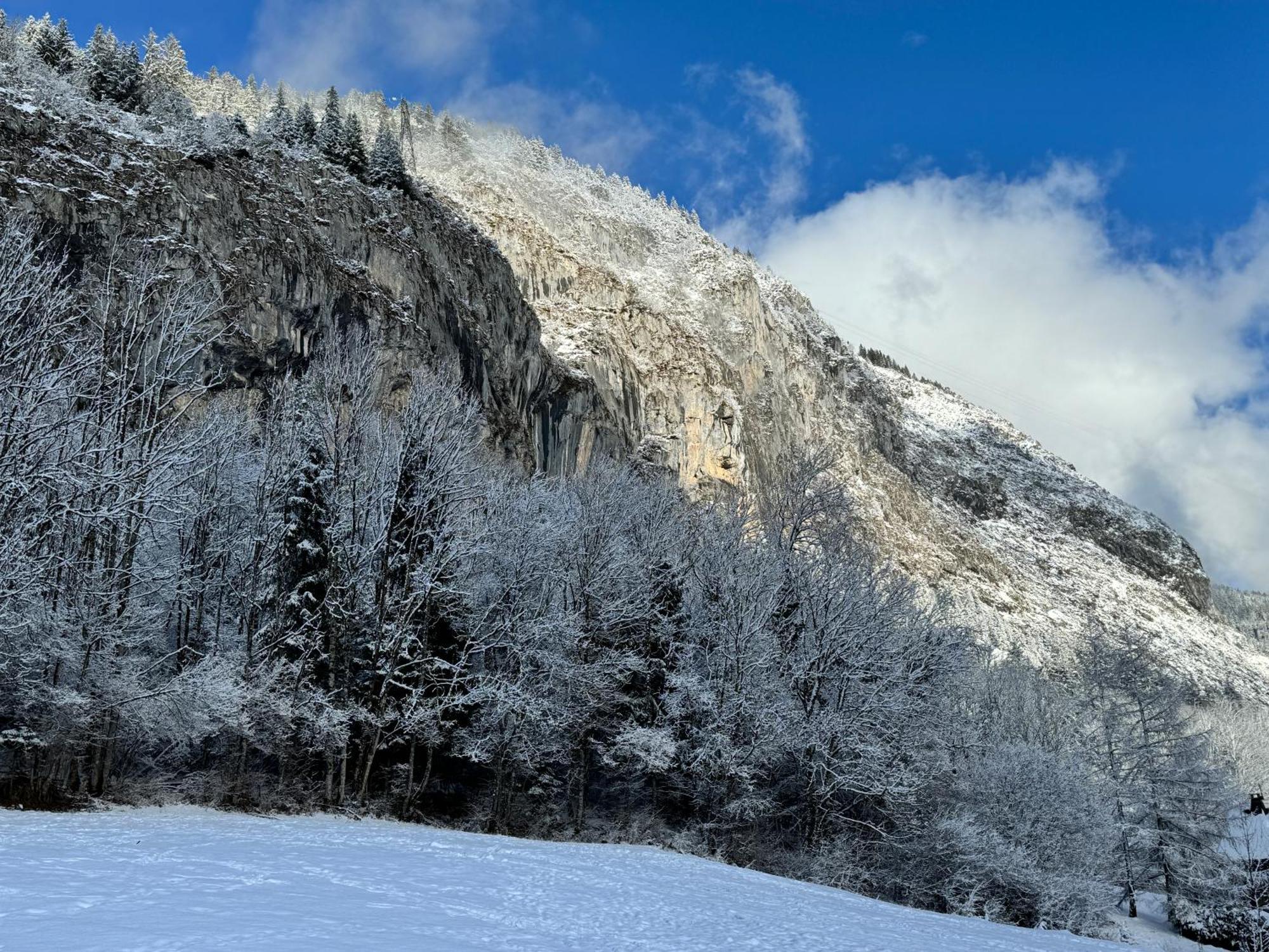 Appartement Cosy Proche Chatel Portes Du Soleil - Linge Inclus Abondance Exterior foto